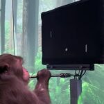 neuralink monkey game video Elon musk’s neuralink releases video of monkey playing games with his mind