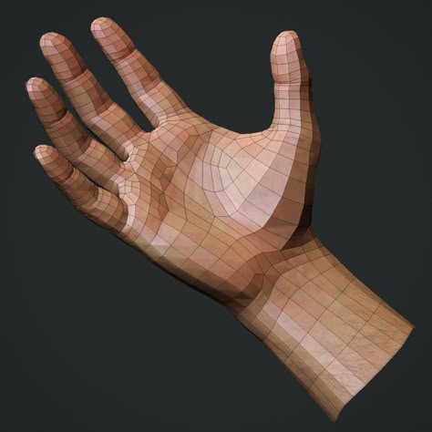 3d modeling hand reference Tutorials modeling of hand head and foot blender char