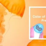 color of thevyear 2024 Color of the year 2024: see the inspiration