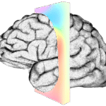neuralink logo transparent background Musk elon tesla spacex executive neuralink artificial intelligence inventor moustache pngegg clipground pngfind boring clipartkey pngwing 17kb