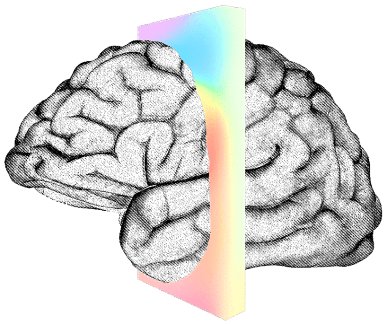 neuralink logo transparent background Musk elon tesla spacex executive neuralink artificial intelligence inventor moustache pngegg clipground pngfind boring clipartkey pngwing 17kb