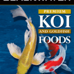 api goldfish and koi food Premium koi & goldfish food