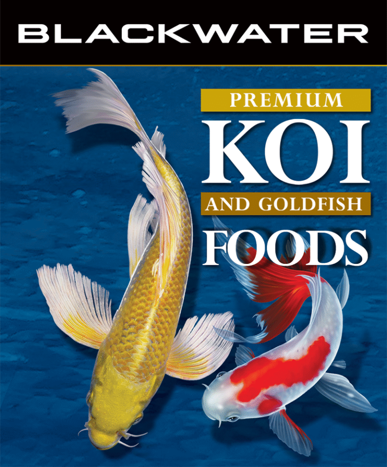 api goldfish and koi food Premium koi & goldfish food