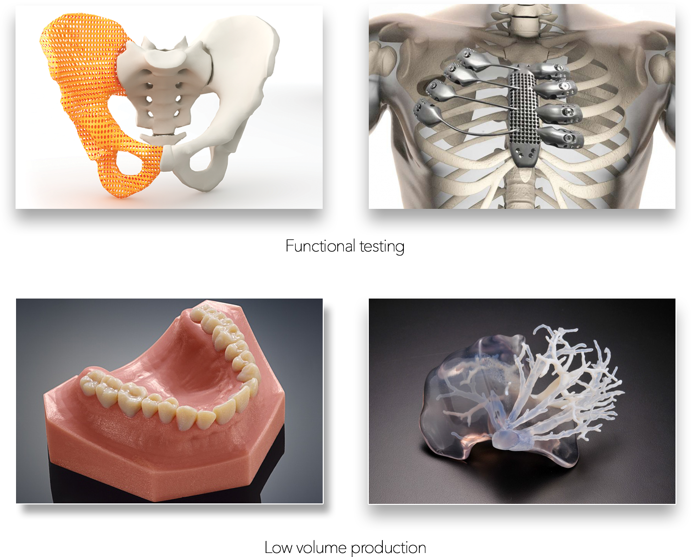 HEALTHCARE– Ultimate 3D Printing Store