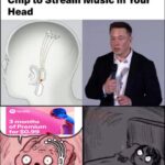 neuralink hacking meme The best neuralink memes :) memedroid