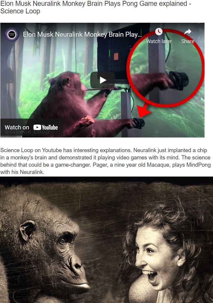Neuralink Monkey Brain Plays Pong Game