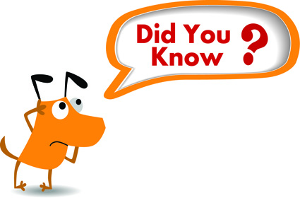 did you know coding clip art Did you know clip art 16 free cliparts did you know coding clip art Did you know clip art 16 free cliparts