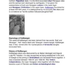 things to learn and explore at kalibangan Site original everything picture just