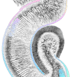 sci-fi neuralink Neuralink: bringing sci-fi movies to life with bci