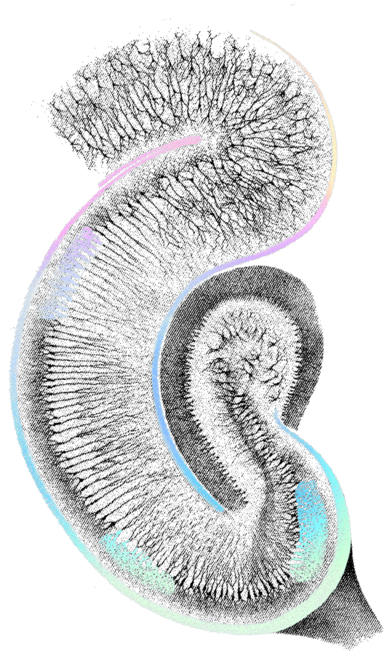 sci-fi neuralink Neuralink: bringing sci-fi movies to life with bci