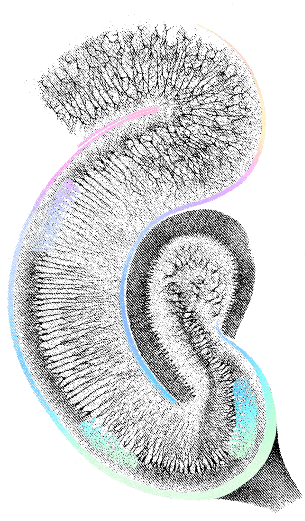 Home - Neuralink