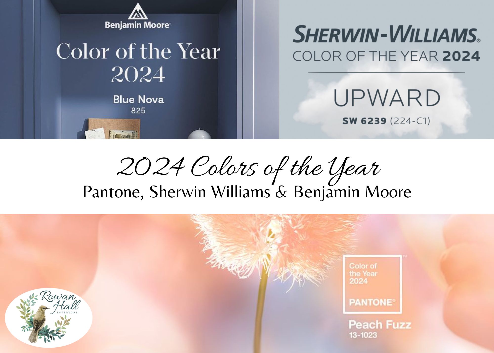 2024 Color Trends | Rowan Hall Interiors