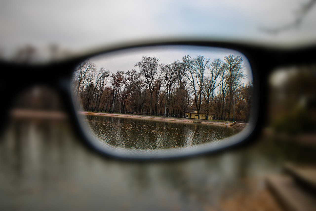 Glasses,world,the world through glasses,park,autumn - free image from