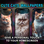 cute cats lock screen laptop Lock screens
